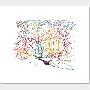 Purkinje Neuron Posters and Art